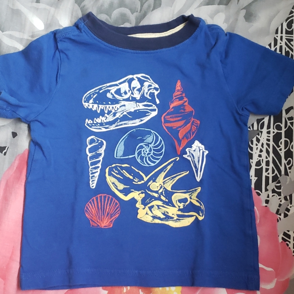 Crazy 8 top (18-24 months) #sea #shell #dinasaur